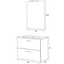 Suspended Bathroom Cabinet with Ceramic Washbasin and Mirror with LED Lamp (White) 