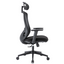 Chaise de bureau ergonomique professionnelle CLEO avec accoudoirs réglables, support lombaire, 150 kg