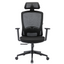 CLEO Professional Ergonomic Office Chair with Adjustable Armrests, Lumbar Support, 150 Kg