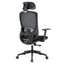 Chaise de bureau ergonomique professionnelle CLEO avec accoudoirs réglables, support lombaire, 150 kg