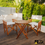 Set of Garden Table and Chairs Director in Wood for Outdoor Folding 52x50x83h