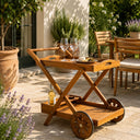Carrello Portavivande da Giardino Esterno con Portabottiglie e 2 Ruote