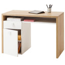 EsEntL Piccola scrivania per Computer in Stile Moderno e Semplice, postazione di Lavoro per Ufficio Domestico con Piedini Regolabili con Struttura in Metallo, Tavolo da Gioco per PC Portatile robus EsEntL Piccola scrivania per Computer in Stile Moderno e Semplice, postazione di Lavoro per Ufficio Domestico con Piedini Regolabili con Struttura in Metallo, Tavolo da Gioco per PC Portatile robus