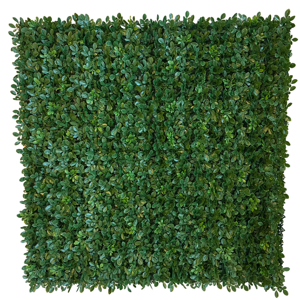 Pannello Siepe Artificiale Foglie Finte per Muro 100x100CM – ZIK Home