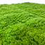 Artificial Hedge Panel Lichen Moss for Wall 100x100CM